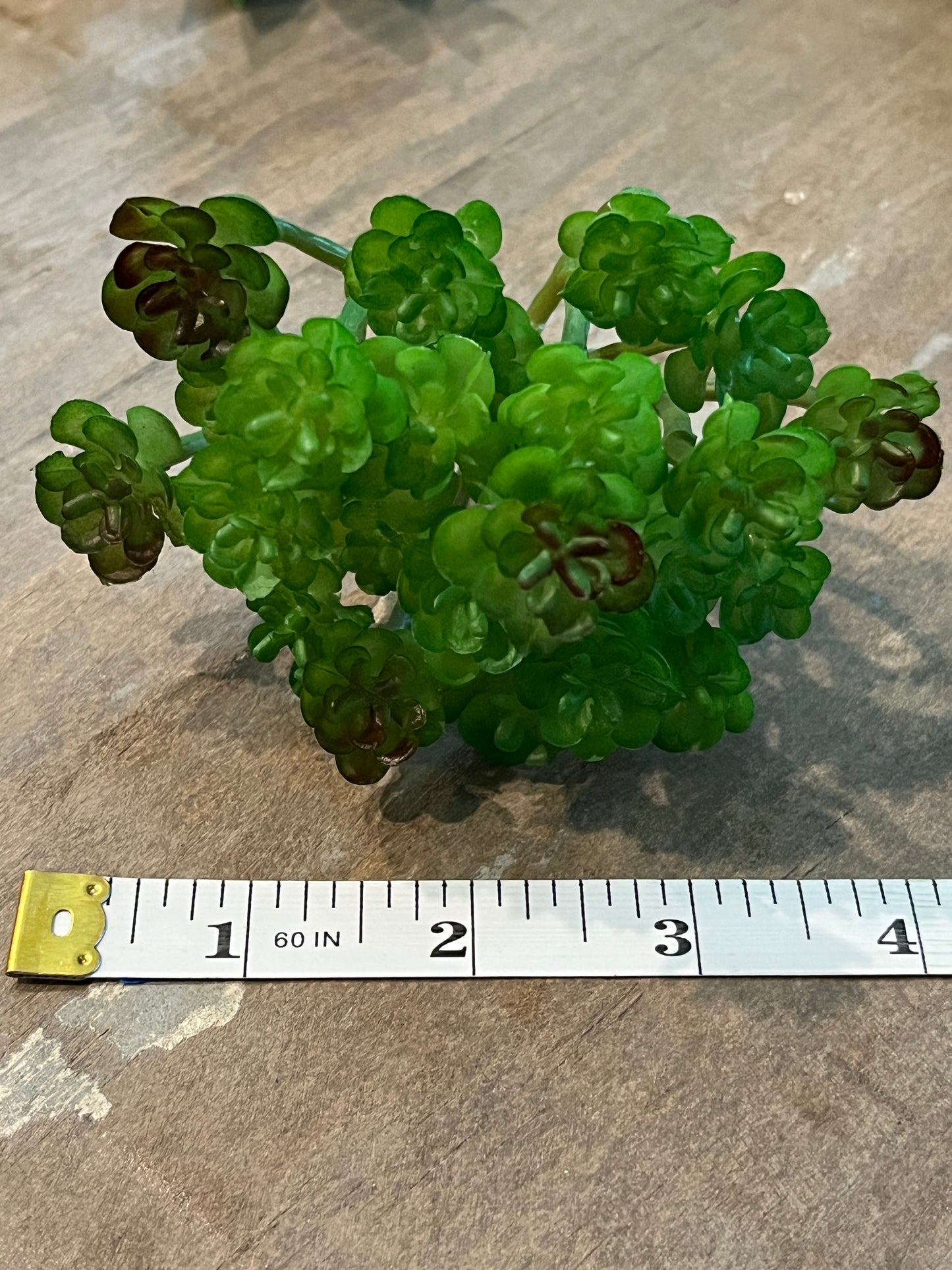 Faux Succulents - Aloe Vera and others