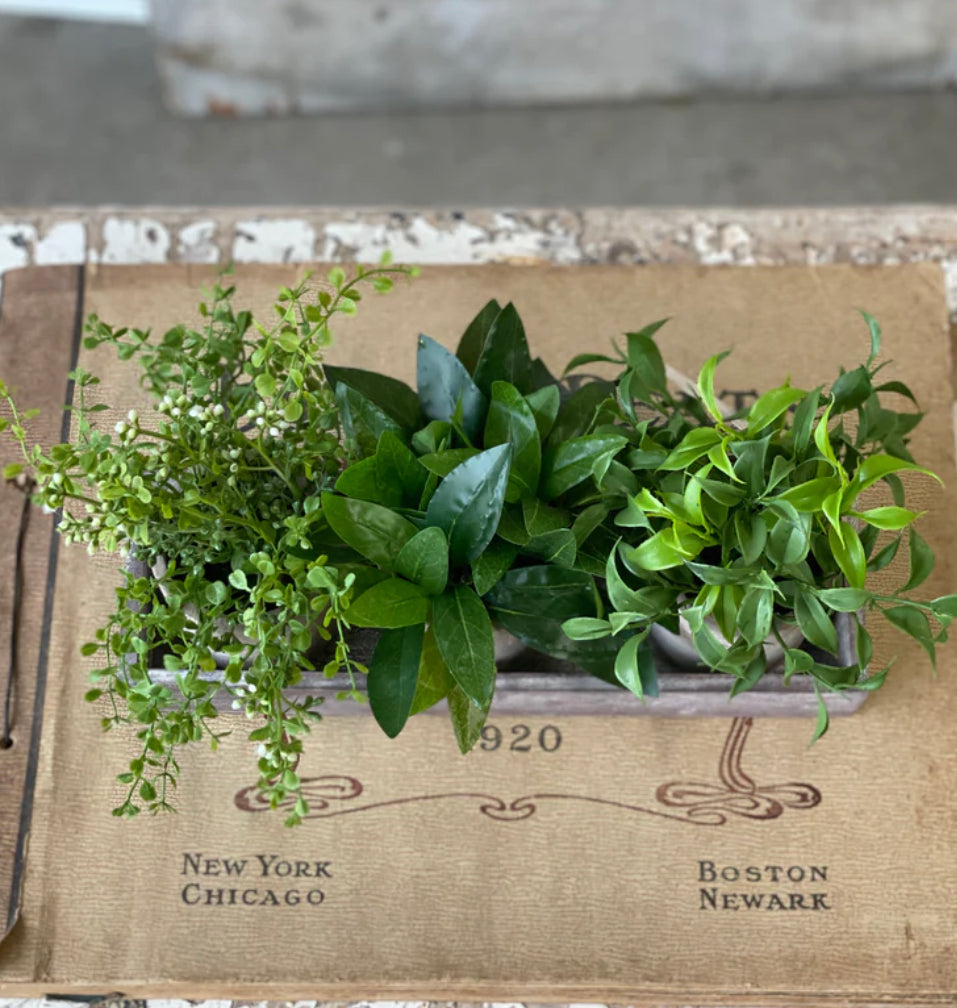 Townsend Pots Arrangement 13"