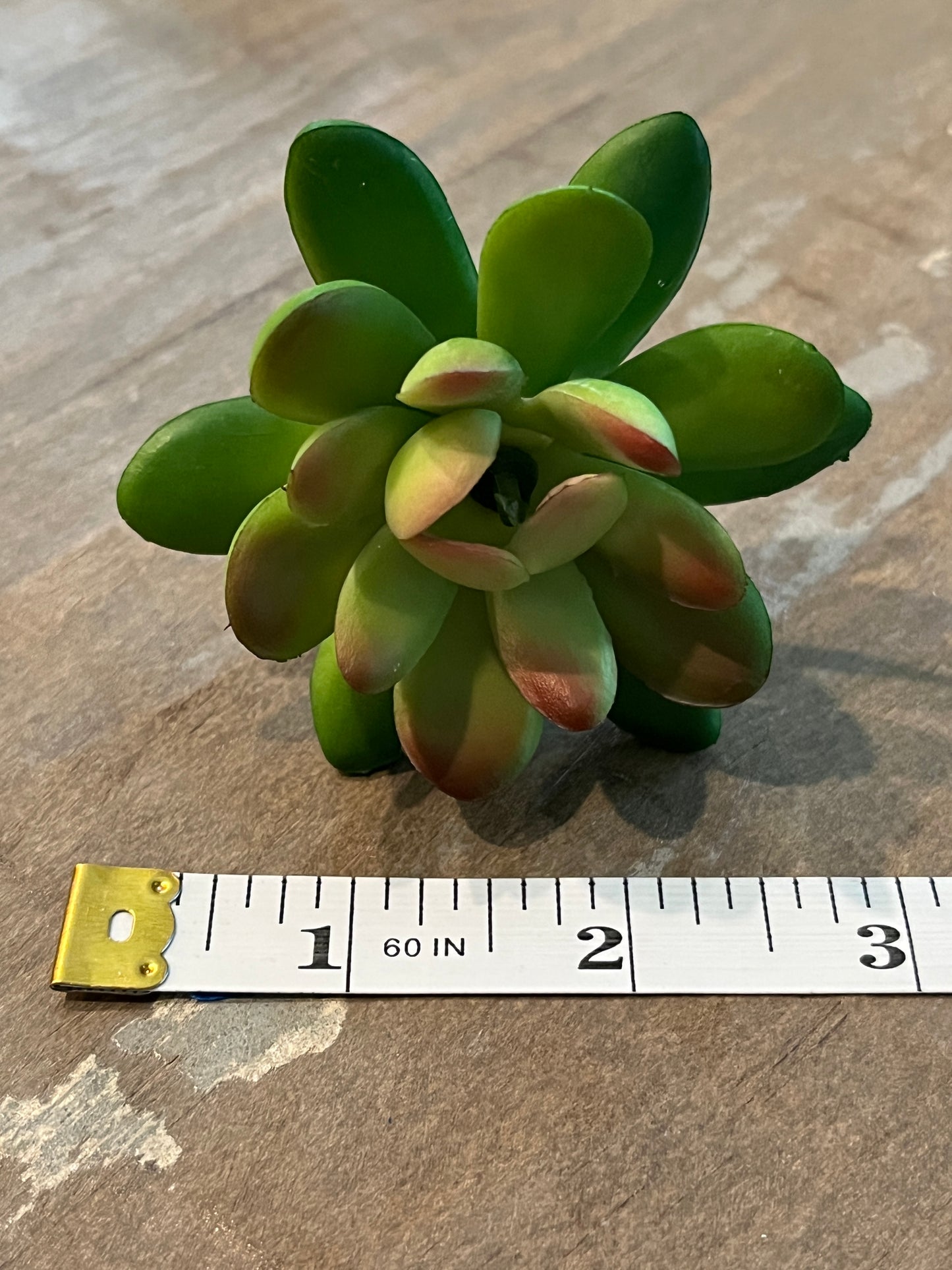 Lotus style Faux succulents