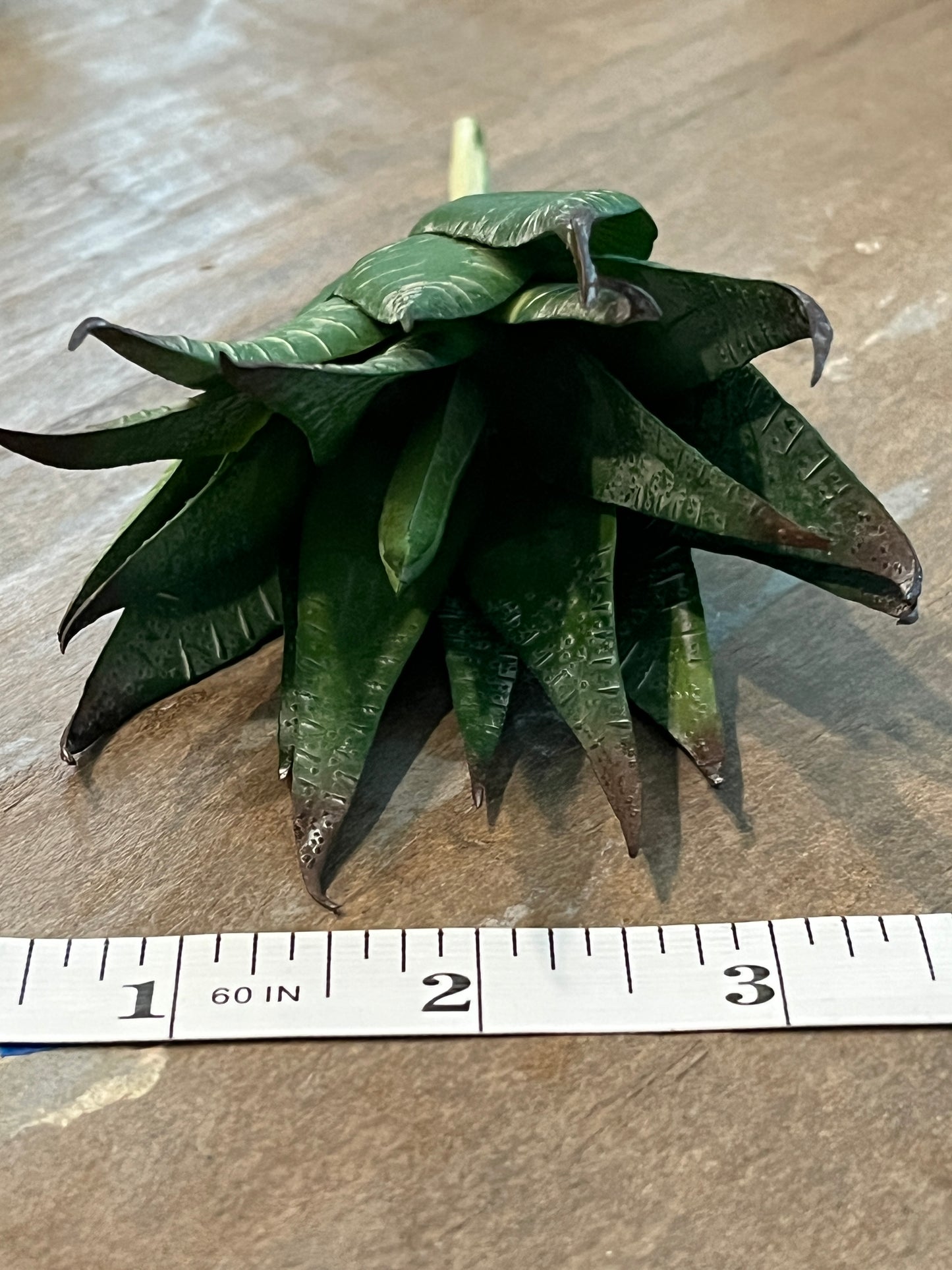 Faux Succulents - Aloe Vera and others