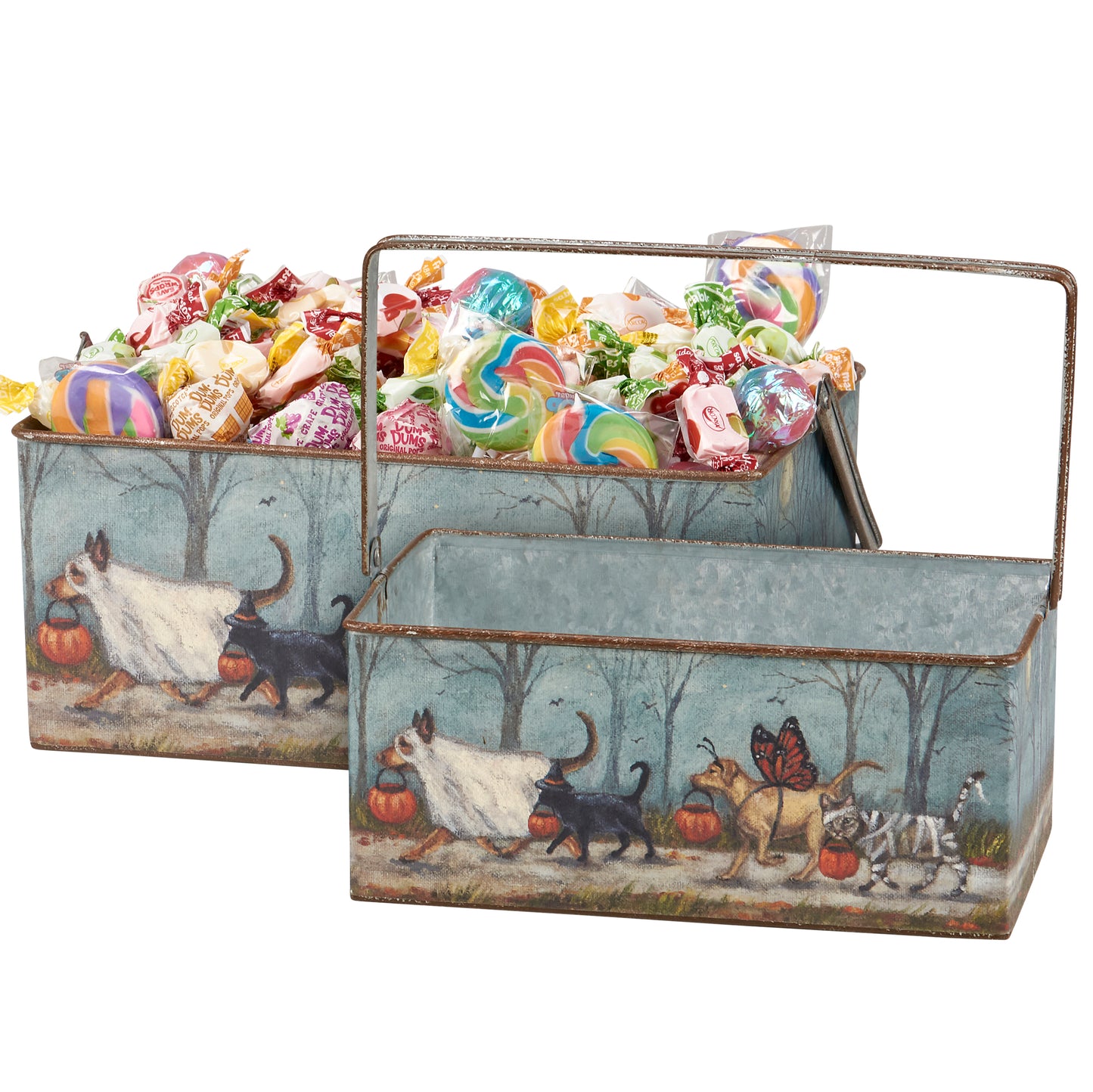 Spooky Pet Parade Bins