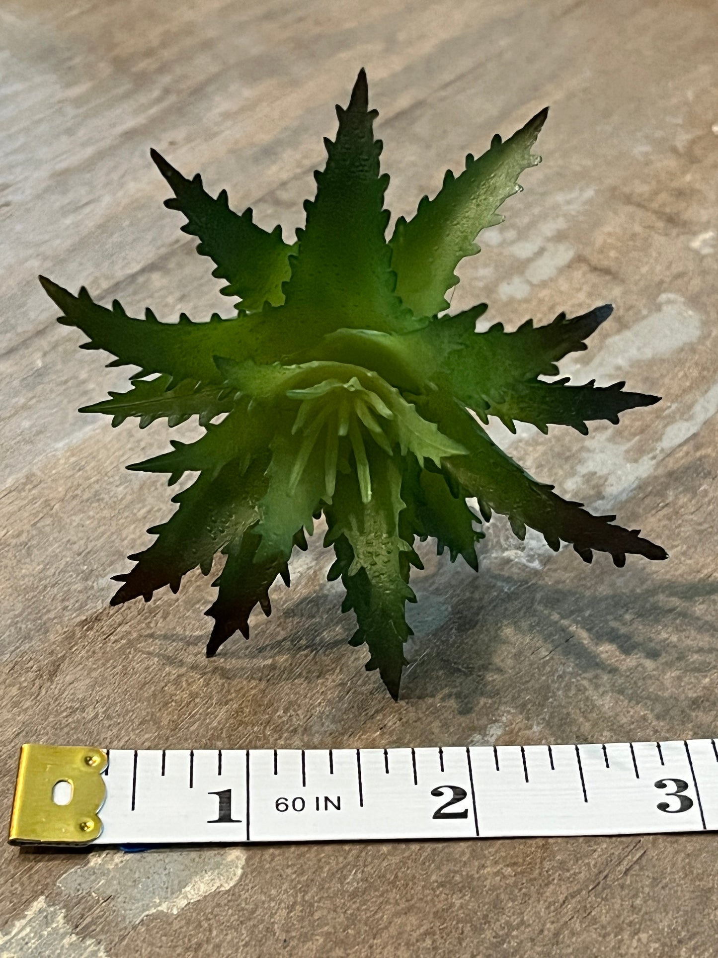 Faux Succulents - Aloe Vera and others