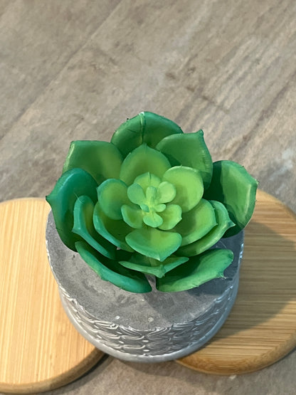 Lotus style Faux succulents