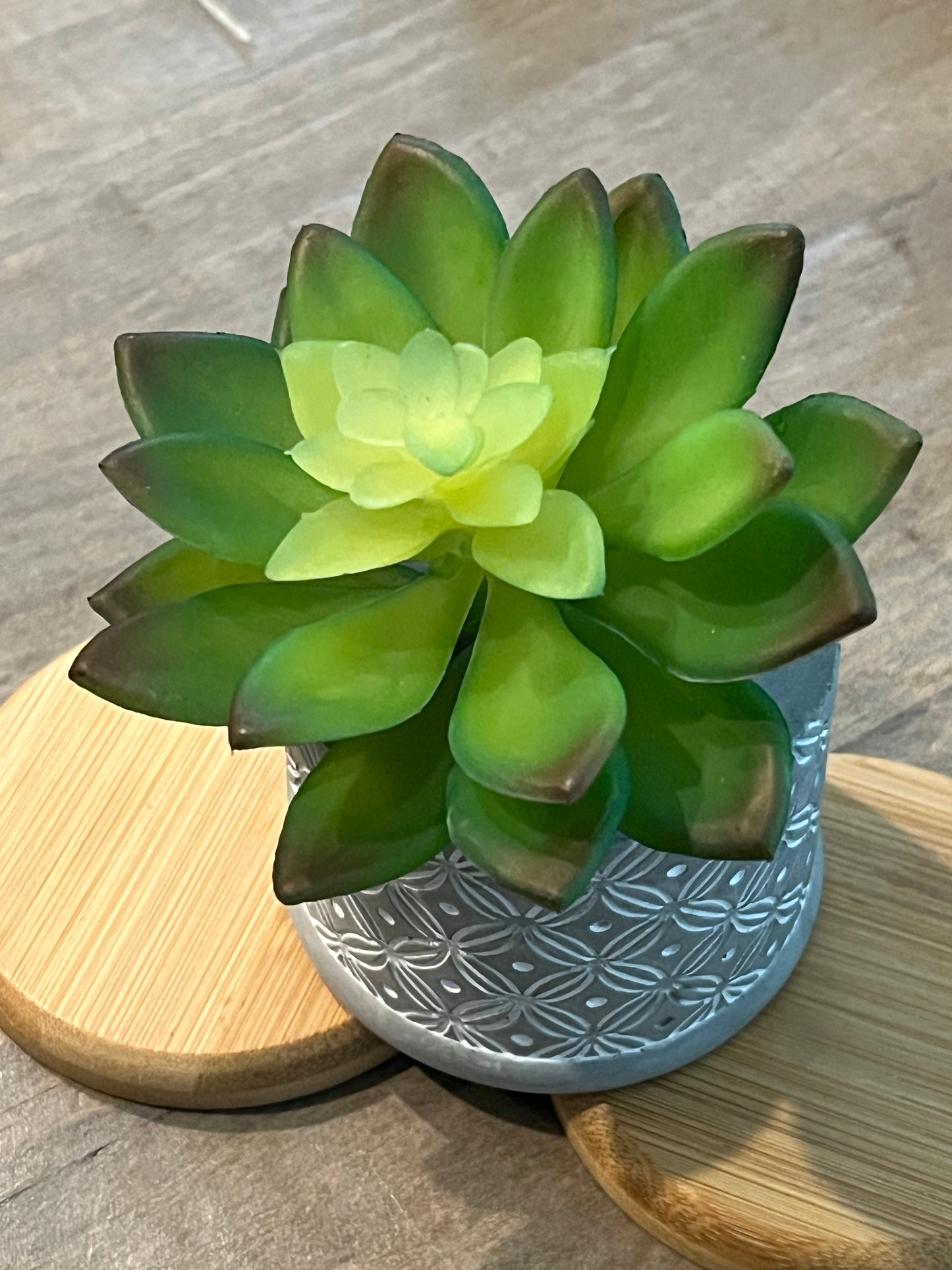 Lotus style Faux succulents