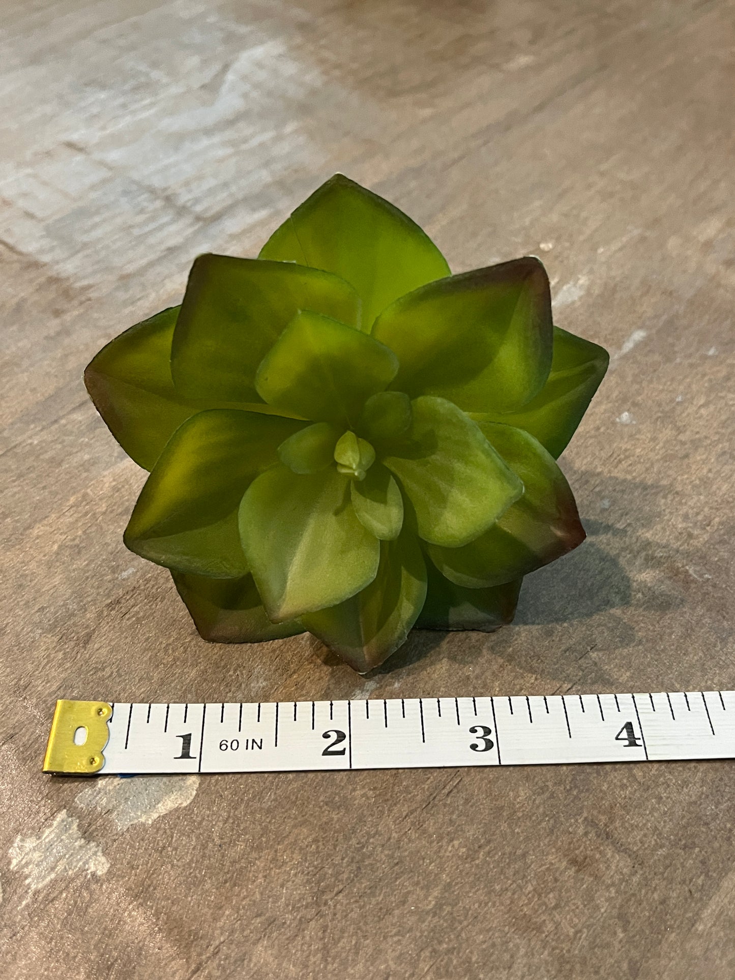 Lotus style Faux succulents