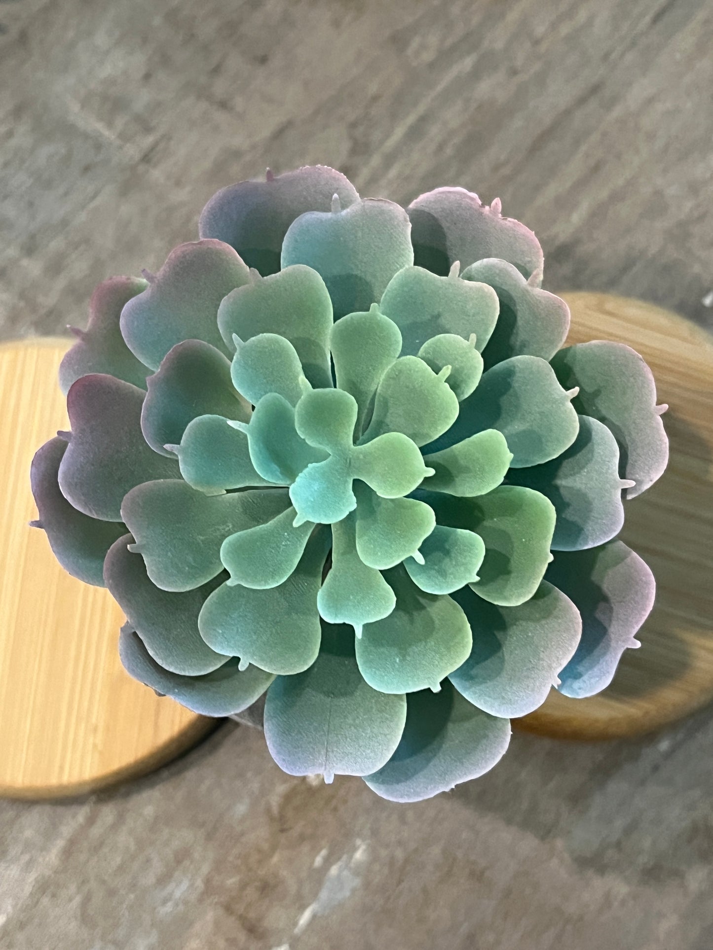 Lotus style Faux succulents