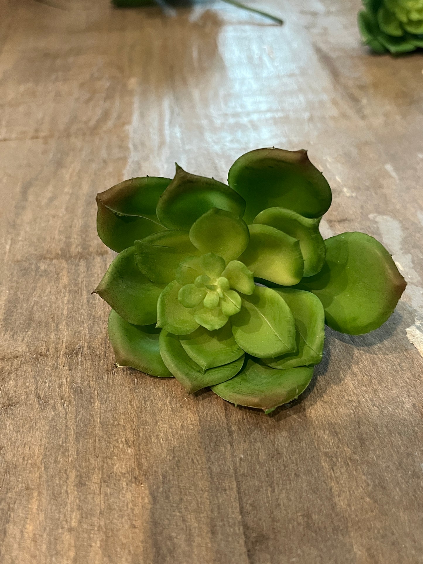 Lotus style Faux succulents