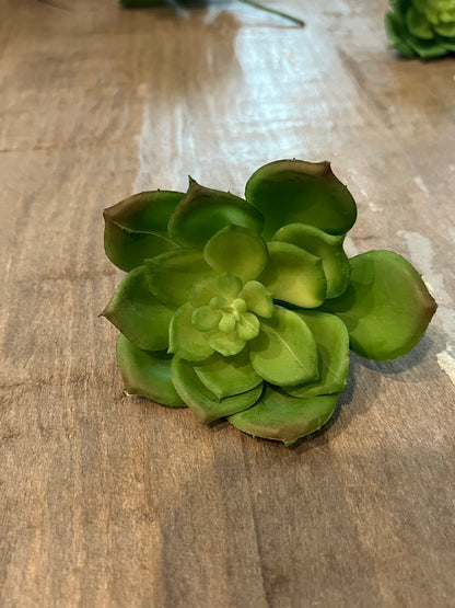 Lotus style Faux succulents
