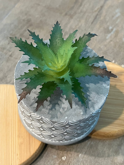 Faux Succulents - Aloe Vera and others