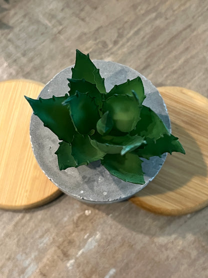 Faux Succulents - Aloe Vera and others