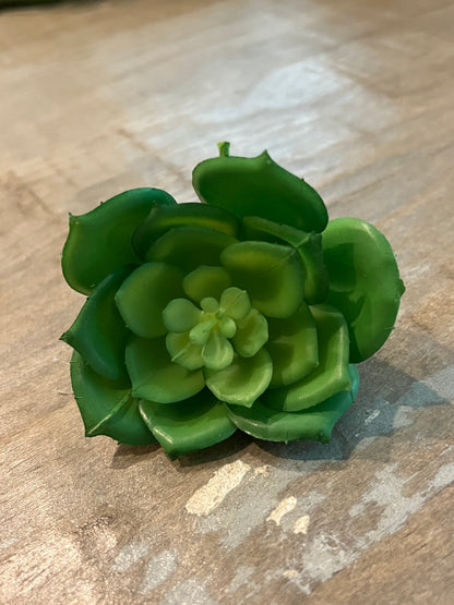 Lotus style Faux succulents