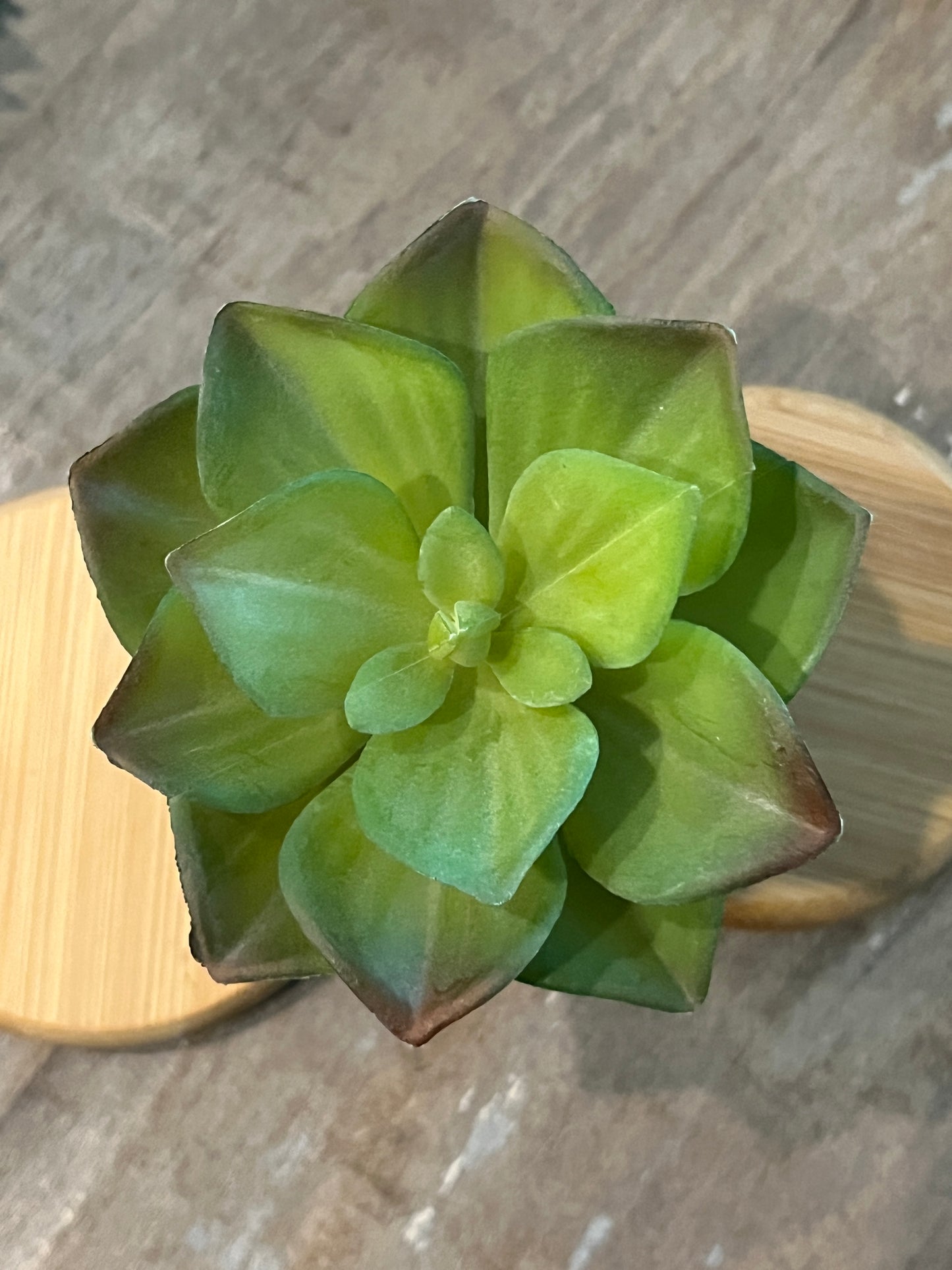 Lotus style Faux succulents