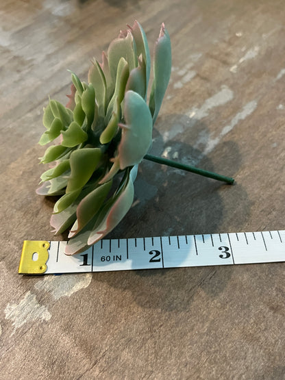 Lotus style Faux succulents