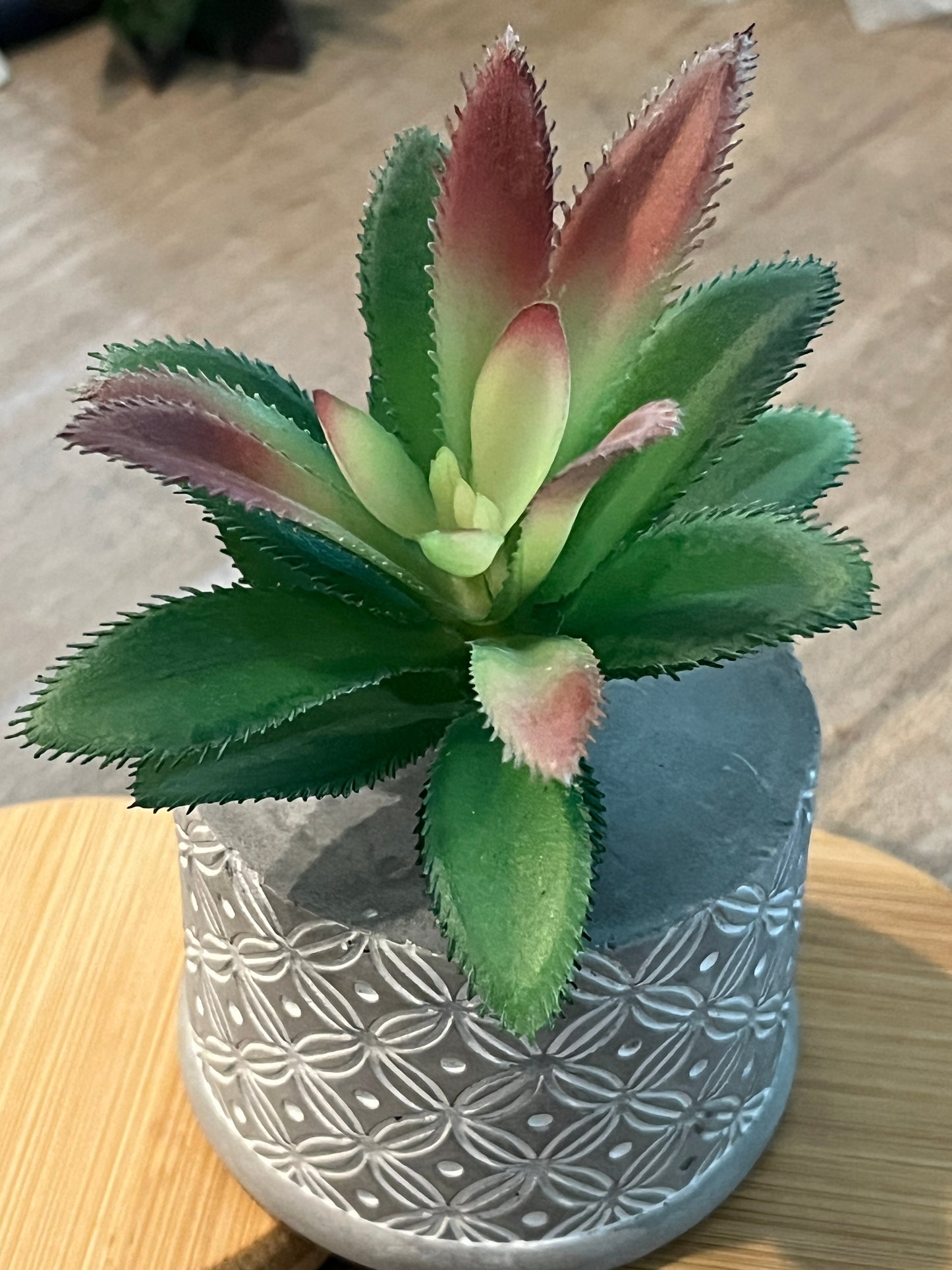 Faux Succulents - Aloe Vera and others