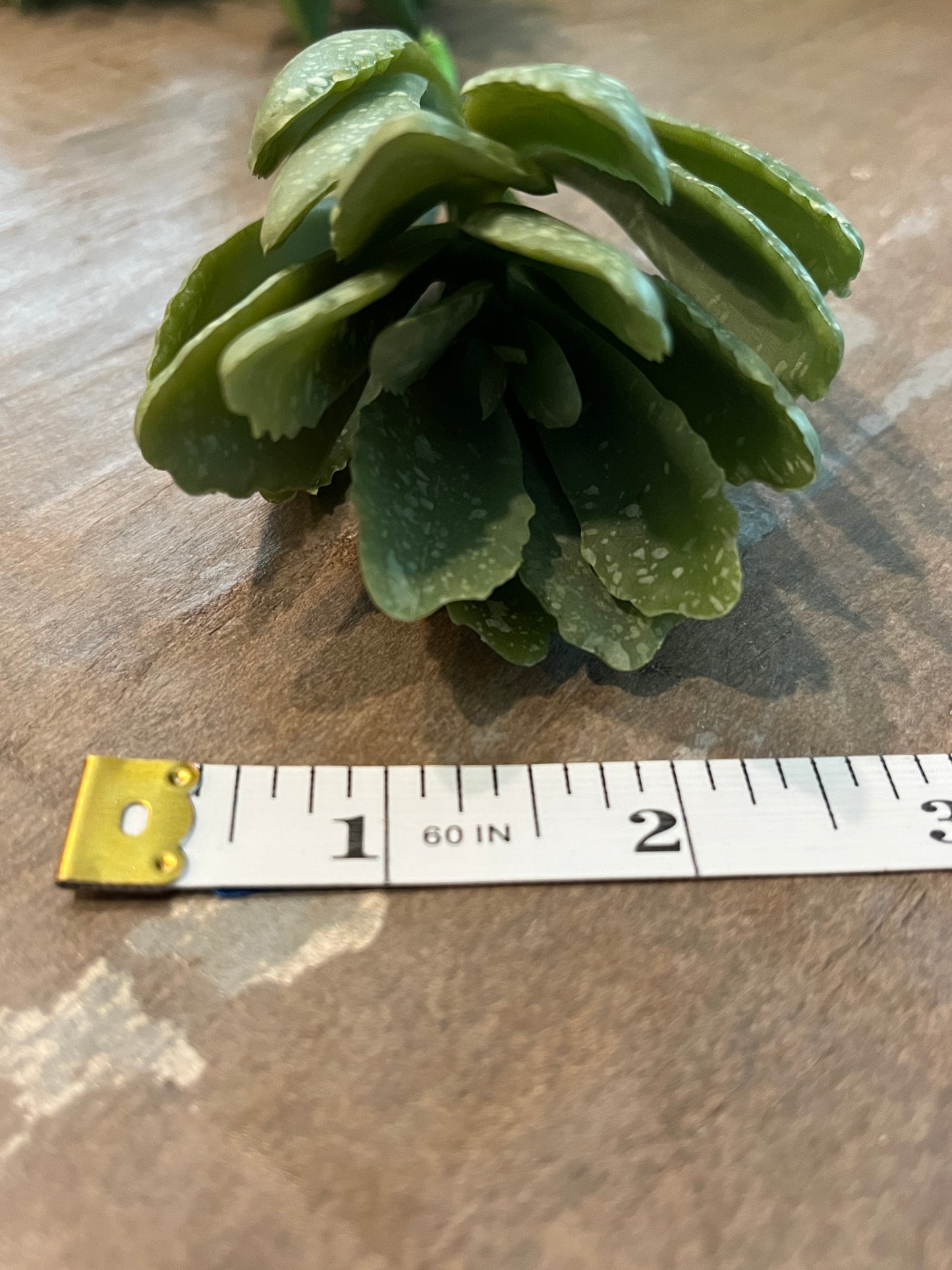 Faux Succulents - Aloe Vera and others