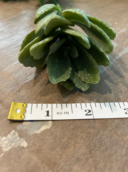 Faux Succulents - Aloe Vera and others