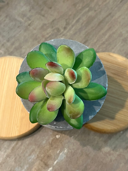 Lotus style Faux succulents