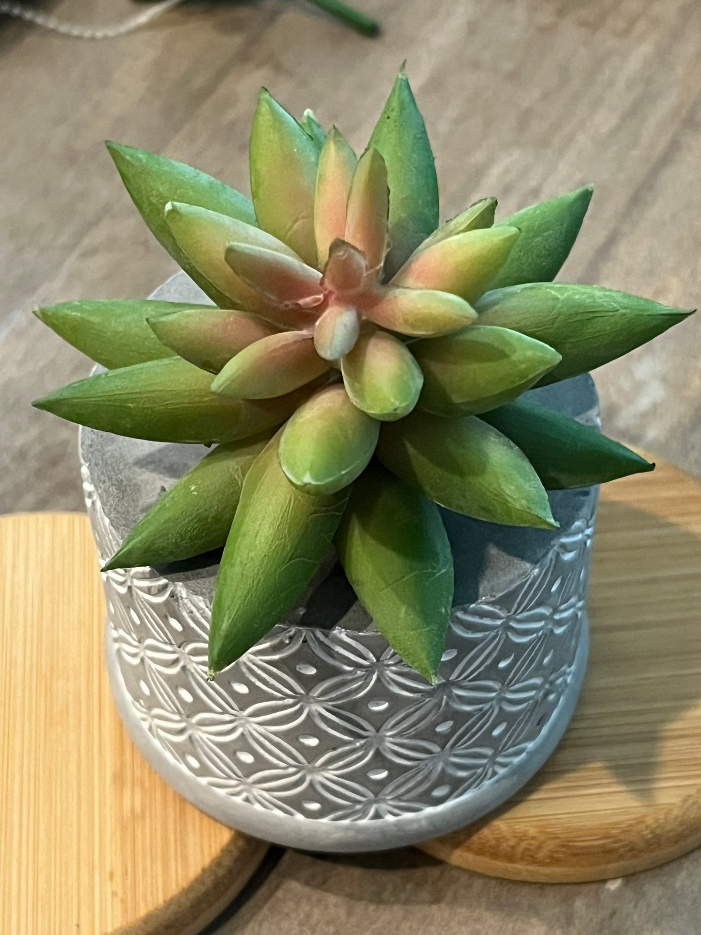 Faux Succulent Plants - sedum