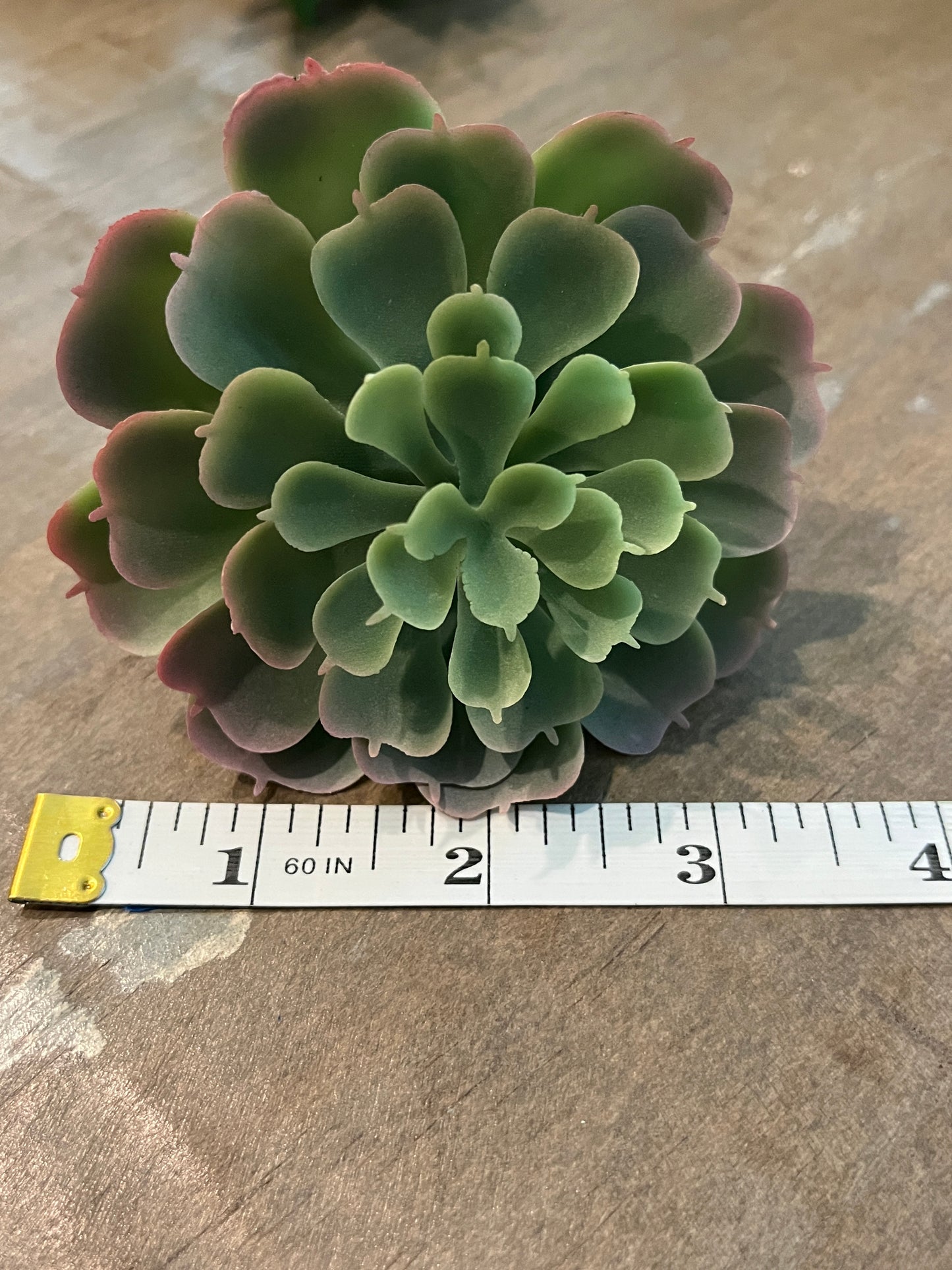 Lotus style Faux succulents