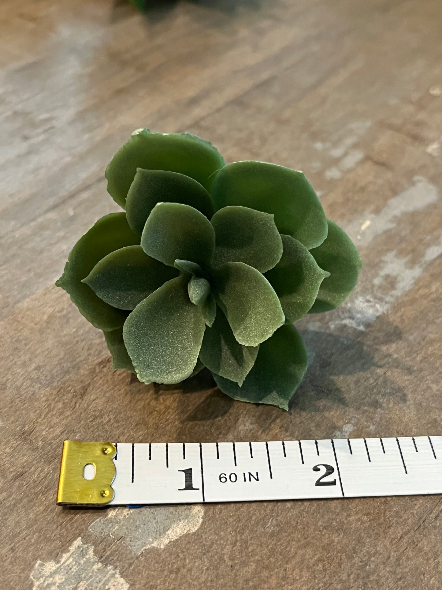 Lotus style Faux succulents