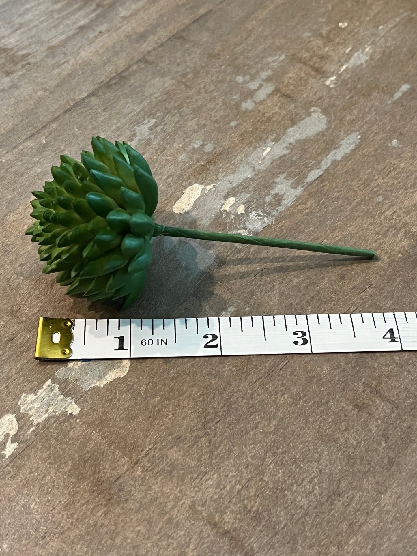 Faux Succulents - Aloe Vera and others