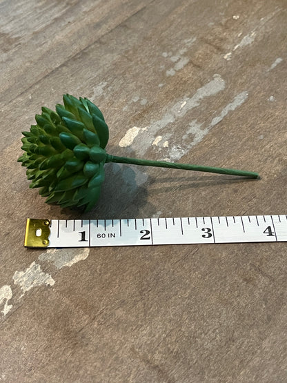 Faux Succulents - Aloe Vera and others
