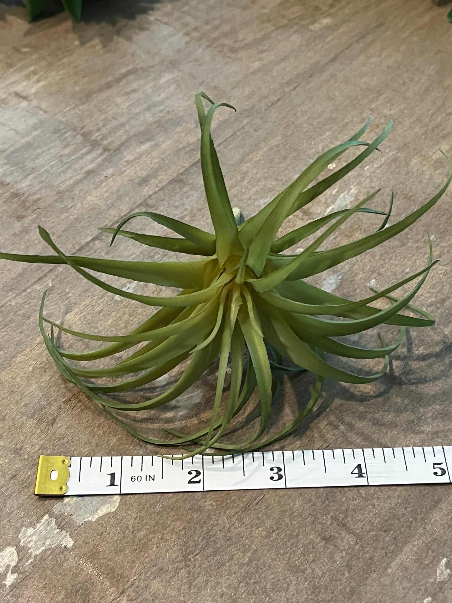 Faux Succulents - Aloe Vera and others