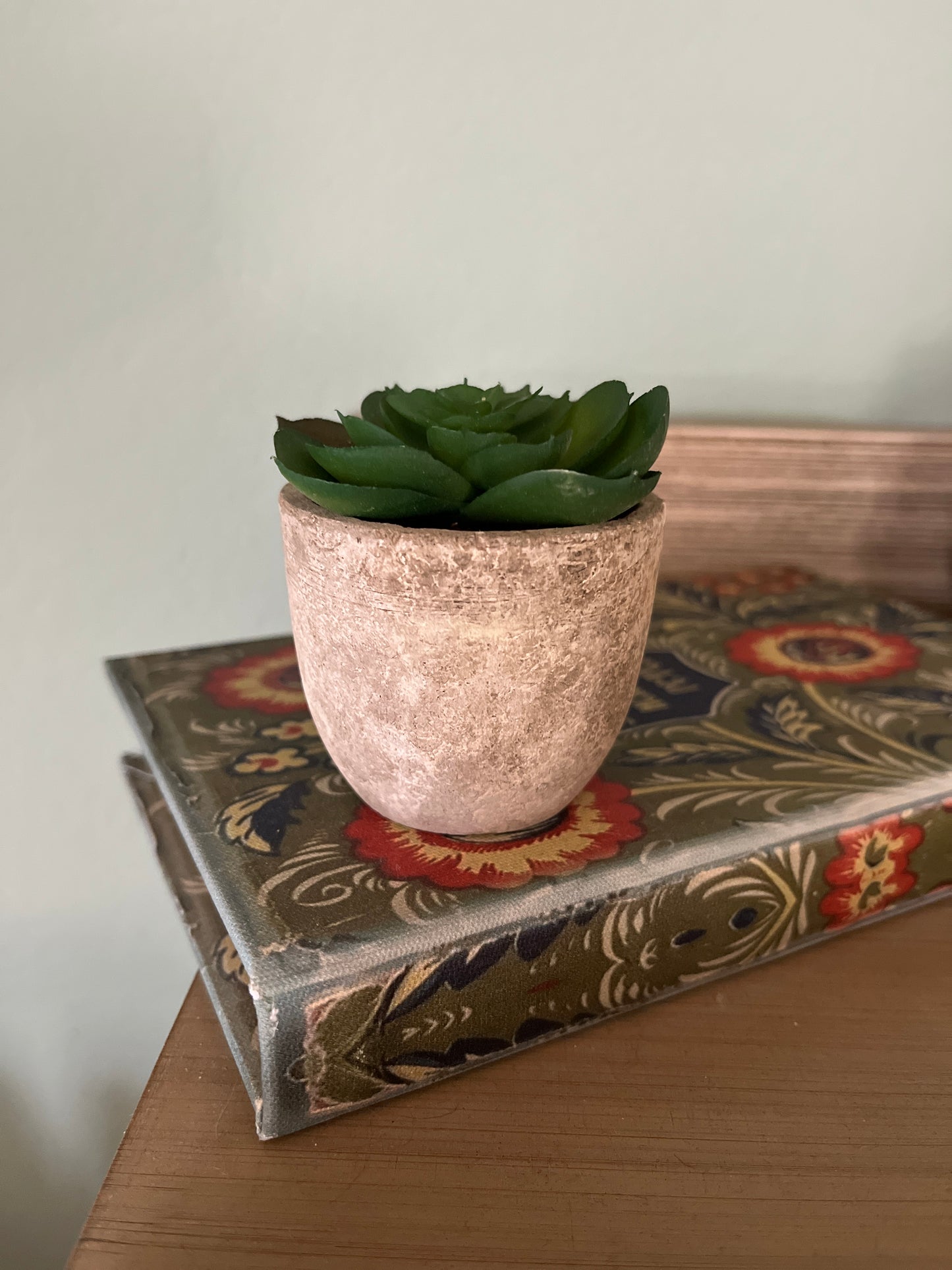 Set of 5 Succulents in 2.5 in concrete look pots