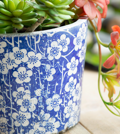 Blue & White Terracotta Pots