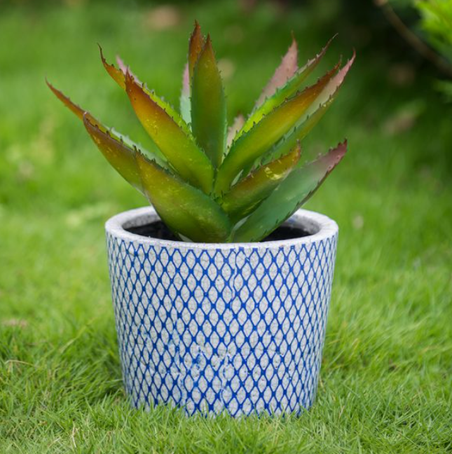 Blue & White Terracotta Pots