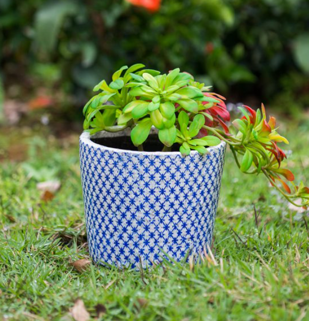 Blue & White Terracotta Pots