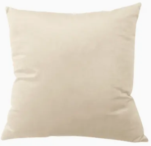 Velvet Pillow Covers