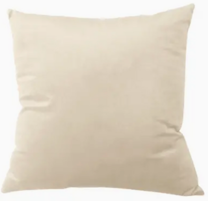 Velvet Pillow Covers