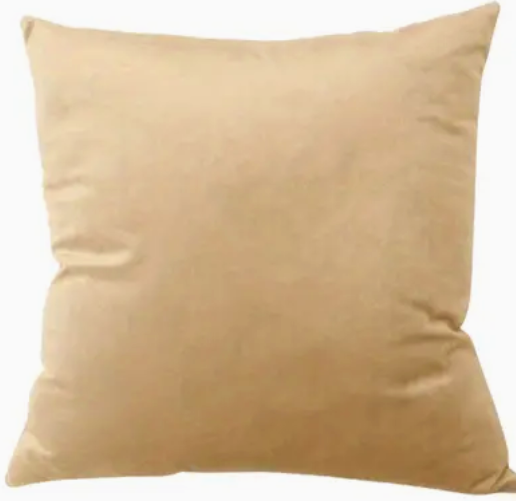 Velvet Pillow Covers